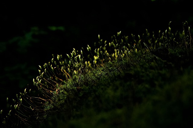 atelier communication entrepreneurs présentation orale micro scène