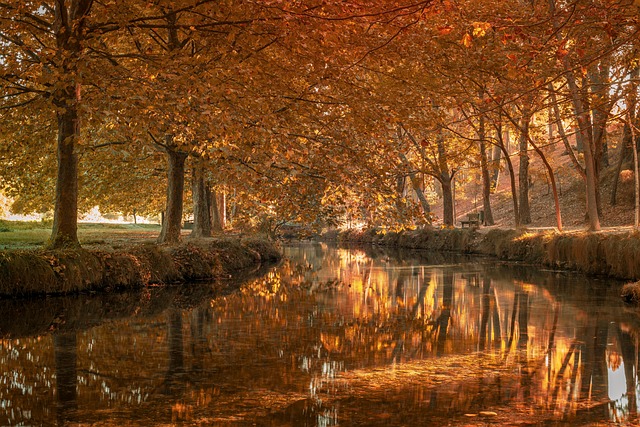 session de formation entrepreneuriat salle de classe participants Paris